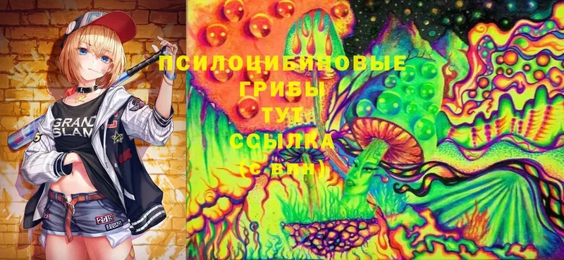 Псилоцибиновые грибы Psilocybe  закладка  Полярный 